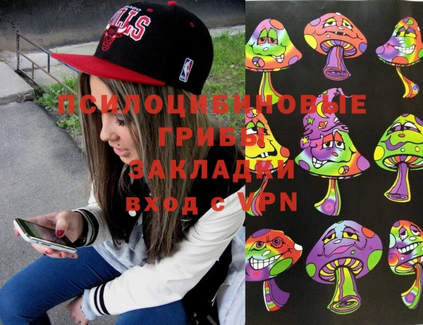 ГАЛЛЮЦИНОГЕННЫЕ ГРИБЫ Аркадак