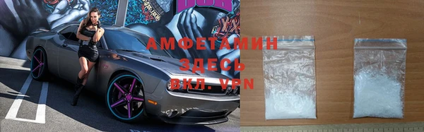 сатива Армянск