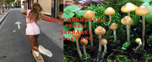 кокаин премиум Арсеньев