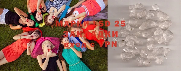 ГАЛЛЮЦИНОГЕННЫЕ ГРИБЫ Аркадак