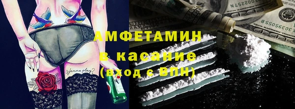 ГАЛЛЮЦИНОГЕННЫЕ ГРИБЫ Аркадак
